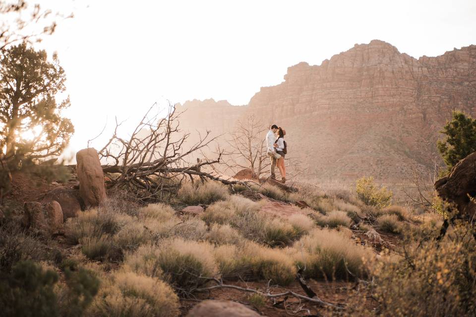 Engagement session in Zion