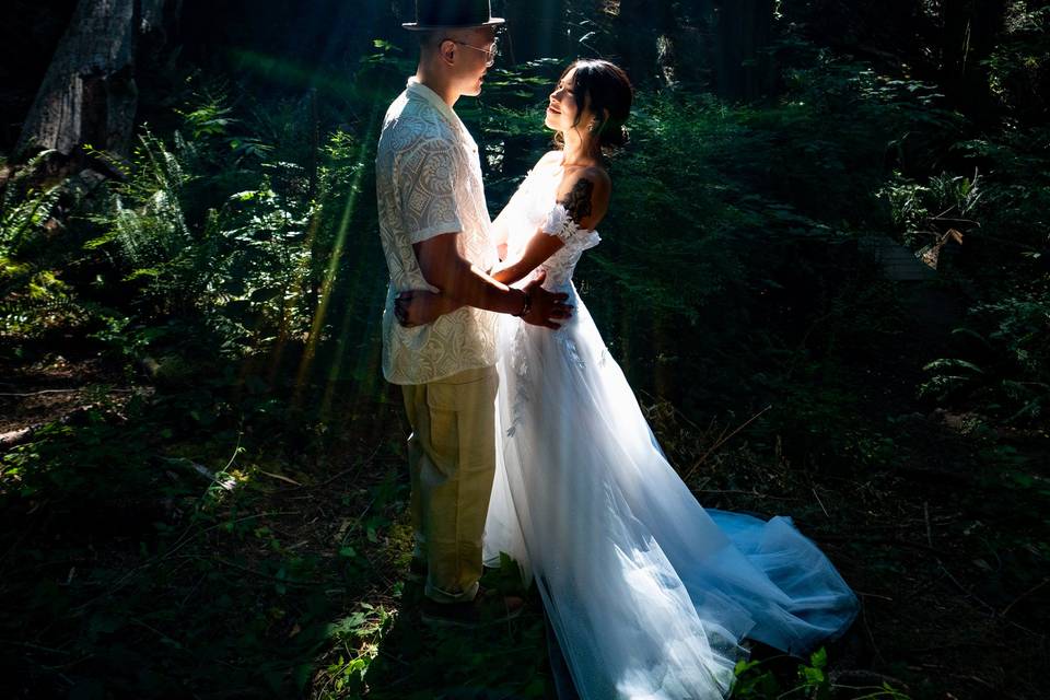 Enchanted Forest