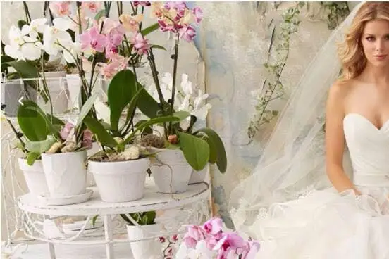 Unveiled Bridal Boutique - Dress & Attire - Thunder Bay - Weddingwire.ca
