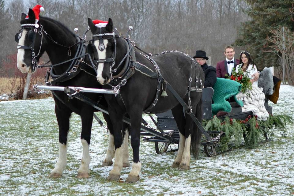 A romantic winter sleigh ride