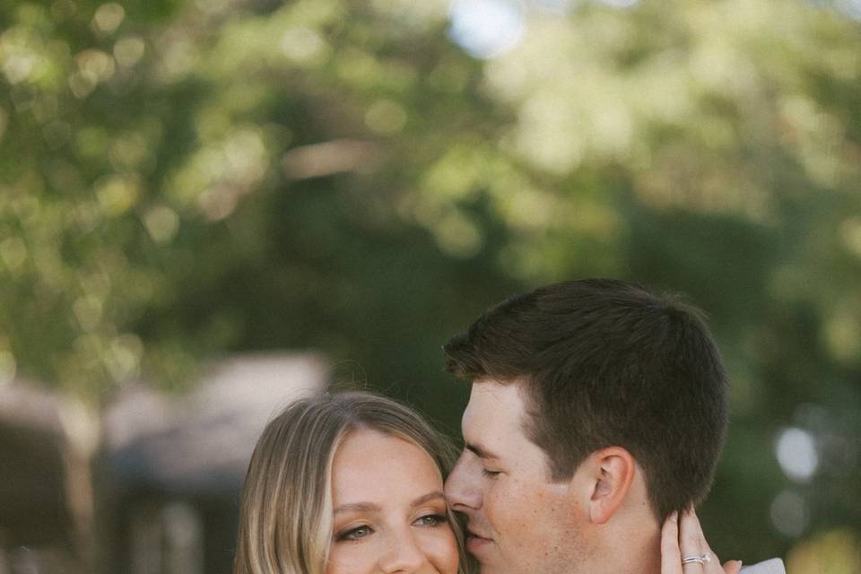 Picnic engagement session