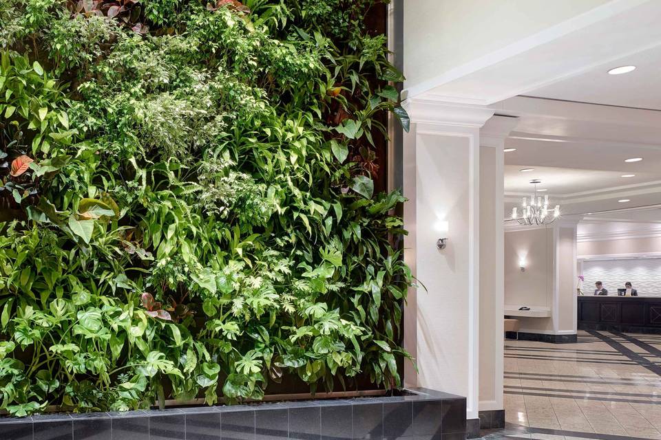 Lobby Green Wall. Jpg