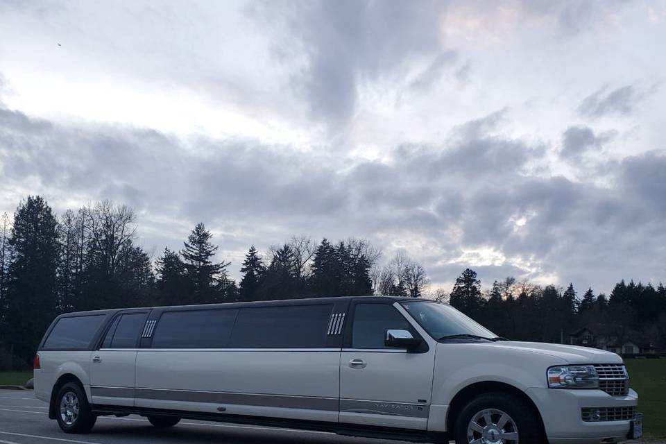 Classy limousine