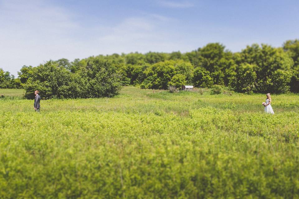 Century Barn fields first look