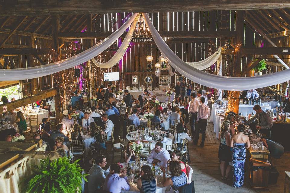 Century Barn Reception