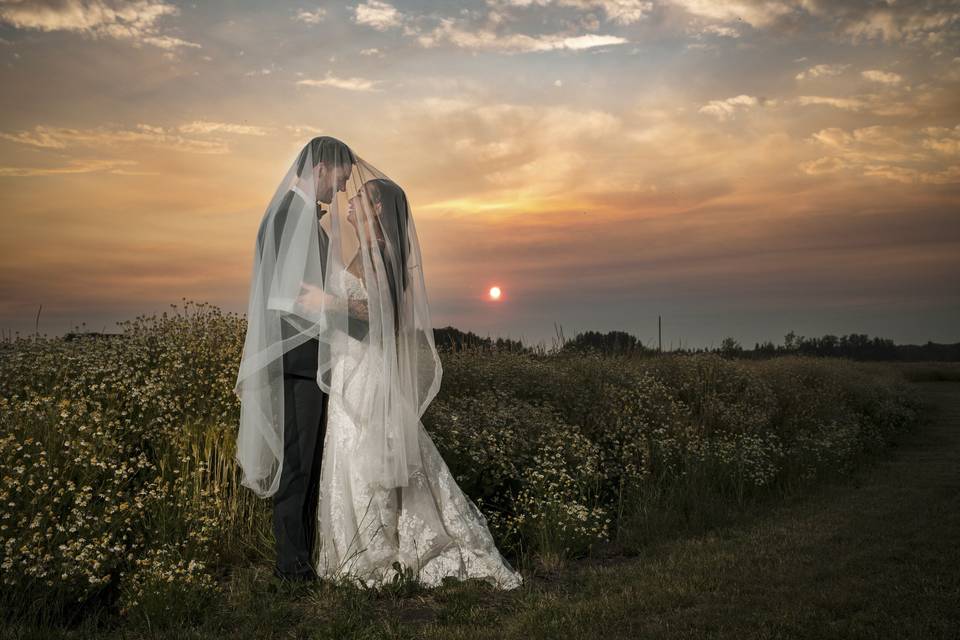 Jillian Ila Photography