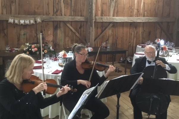 Trio at Brookland Farms