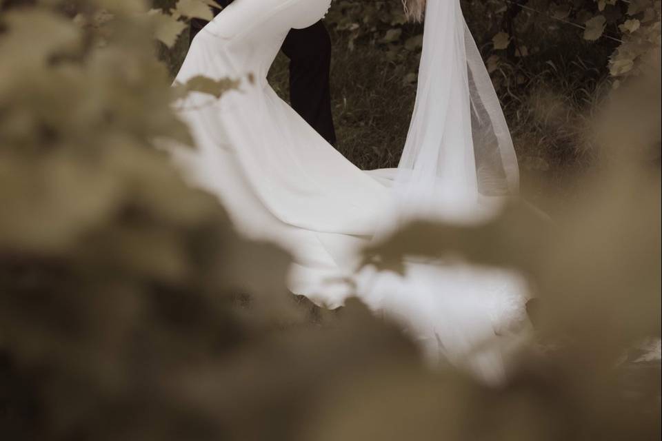 Wineyard wedding