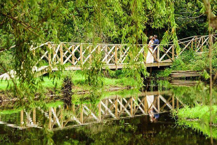 Rustic bridge