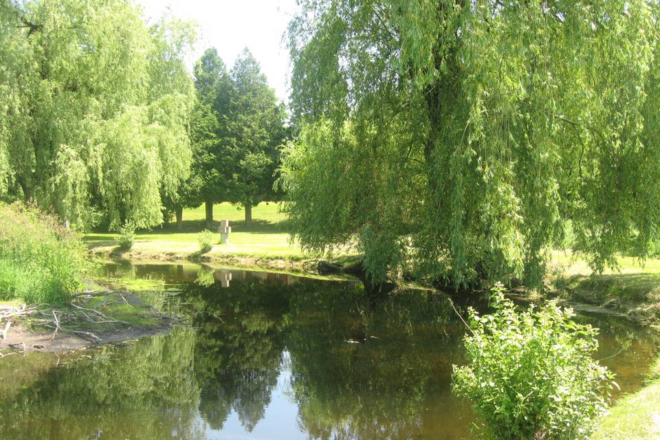 Willows and stream