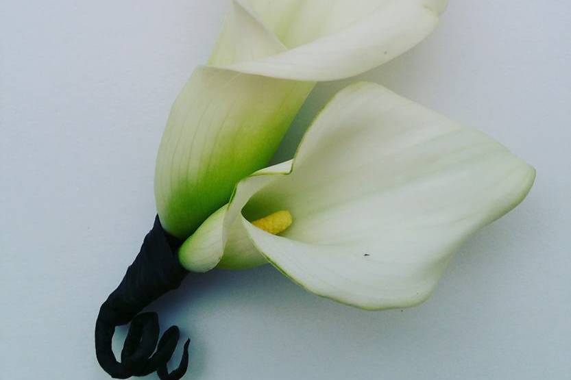 Groom boutonniere