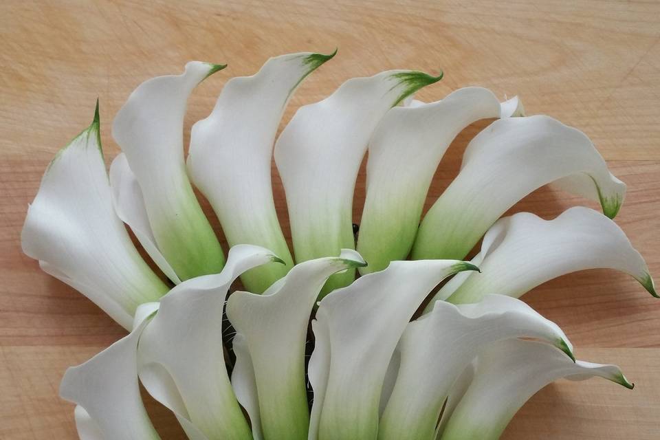 Groomsmen boutonniere