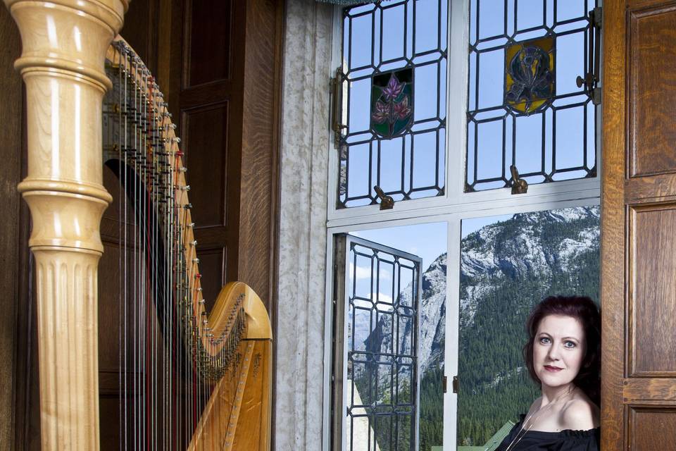 Harpist, Tracy Sweet