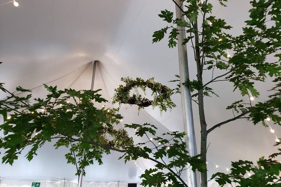 Georgian Roots tent interior