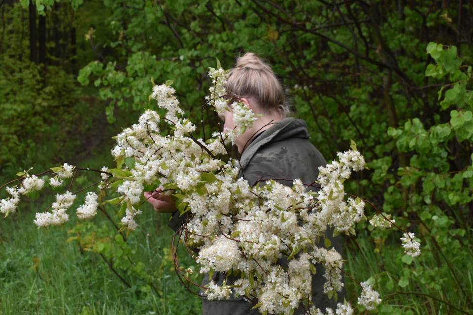 Beautiful farm flowers