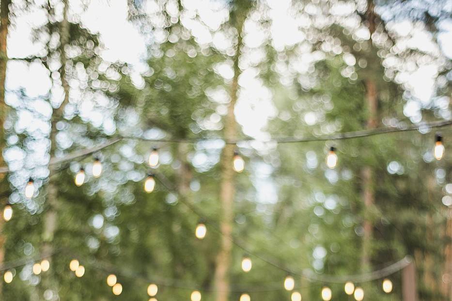 Forest Themed Wedding
