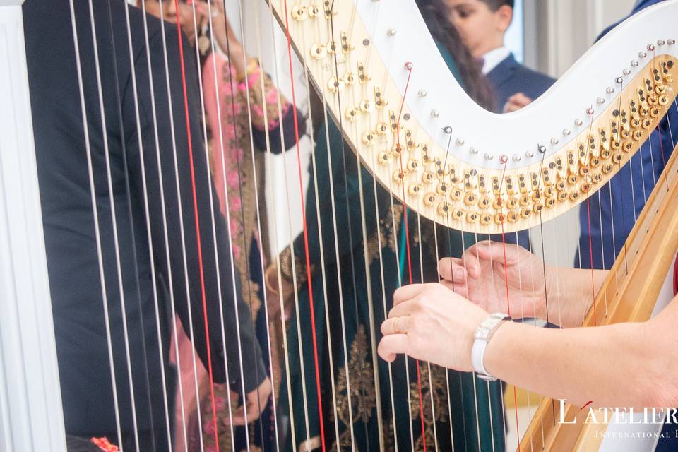 Harpist for Entertainment