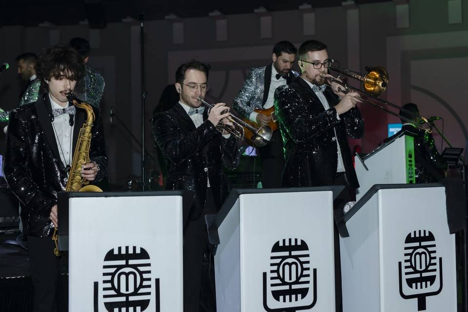 Horn Section
