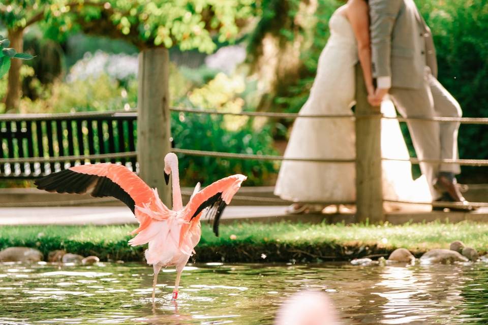 Pretty in Pink.