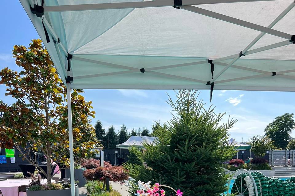 Crescent Beach Swim Club