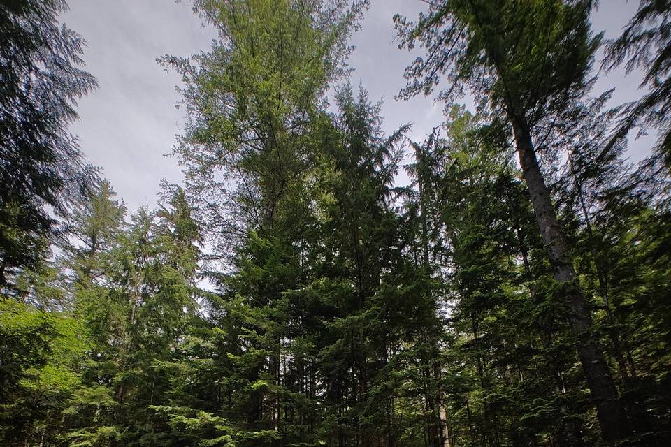 Government Road, Squamish