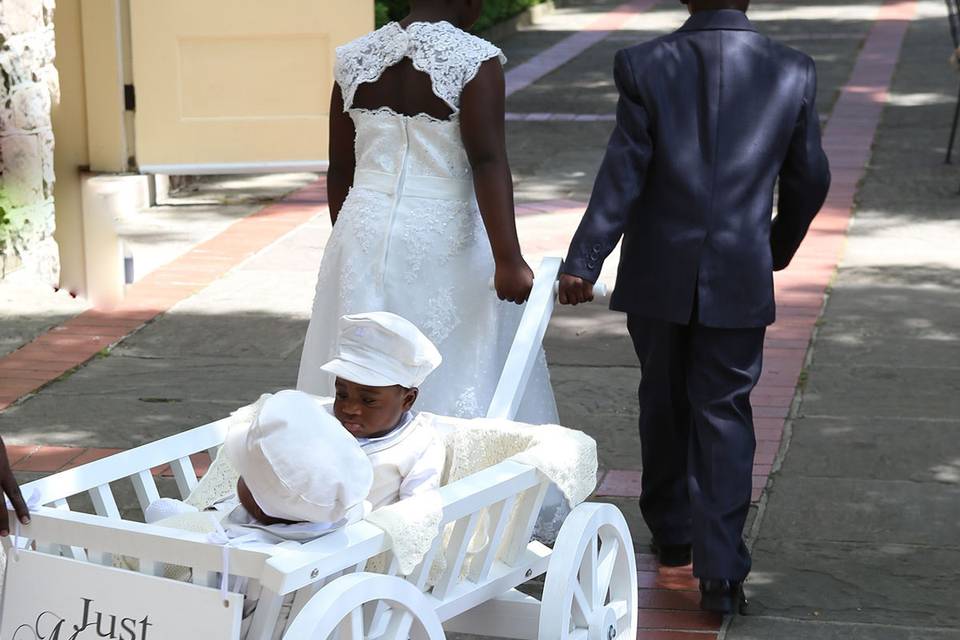 1 Wagon being pulled by (Mini Bride-Groom) of twins 9 months.jpg