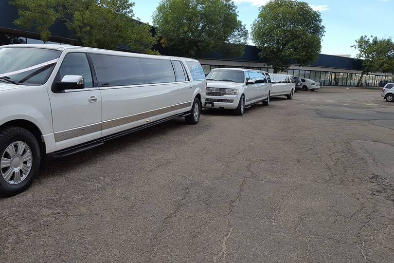 Ápex Limousine