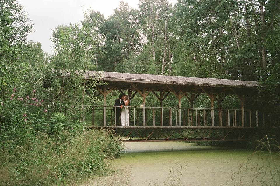 Golf Course Photos