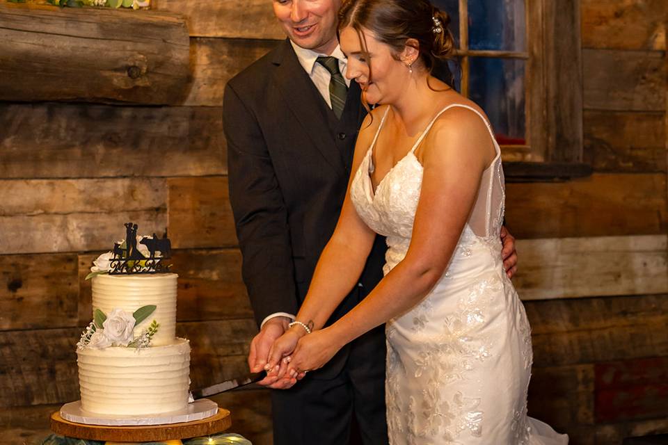 Cake Cutting