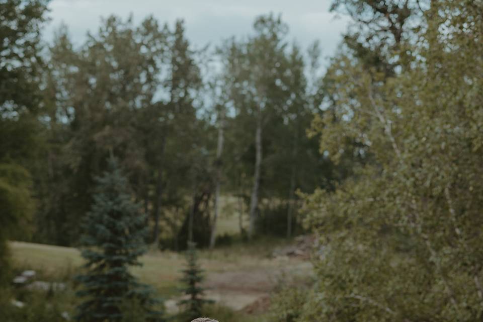 Golf Course Photos