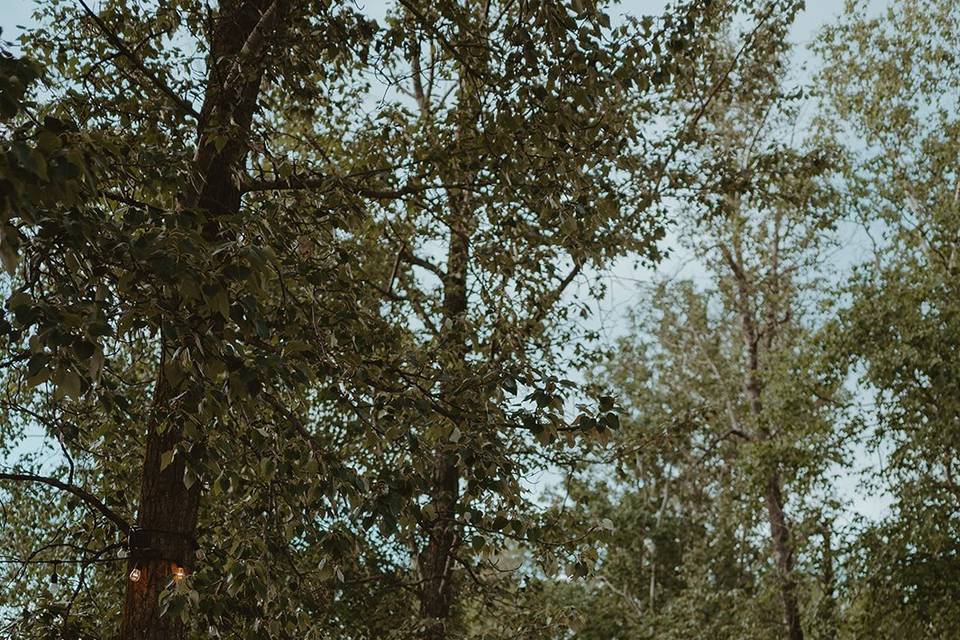 Walking Trail