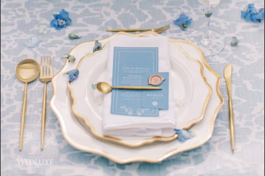 Dinnerware (gold accent)