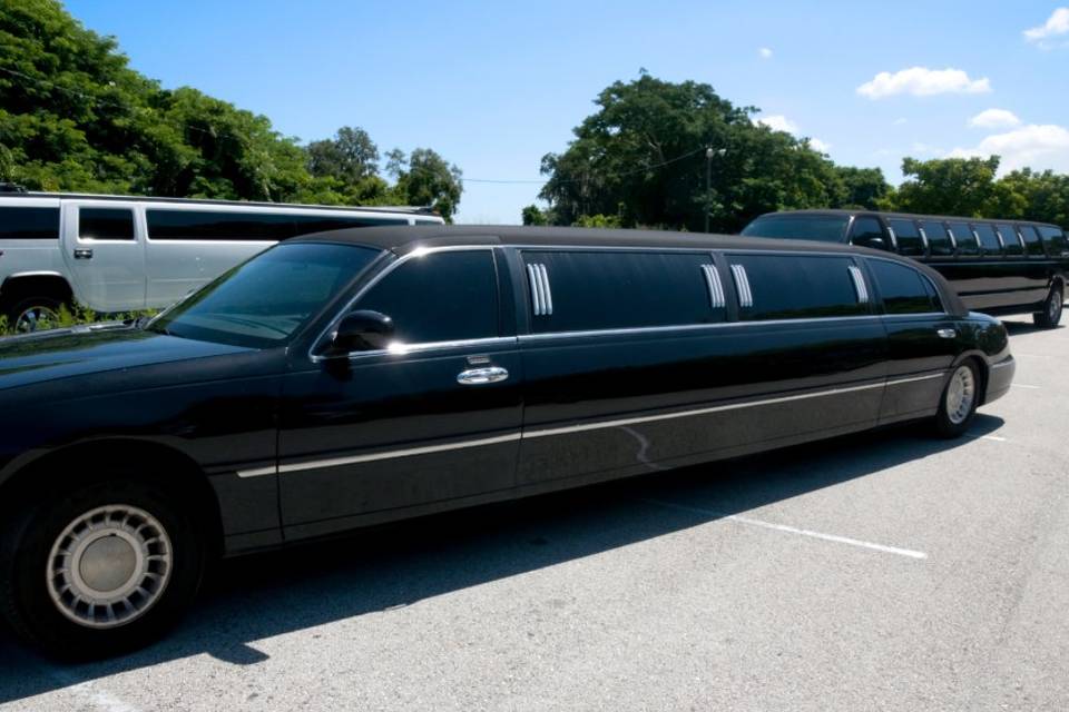 Ottawa wedding limousine service