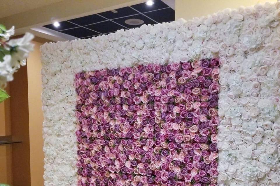 Degalz Flower Walls