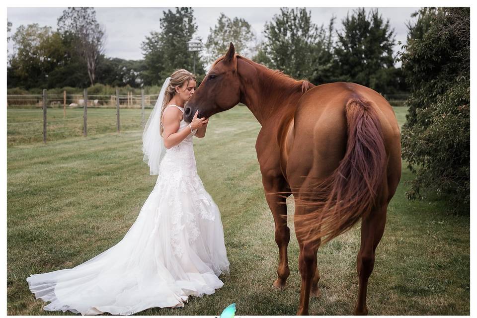 Newlywed and their horse