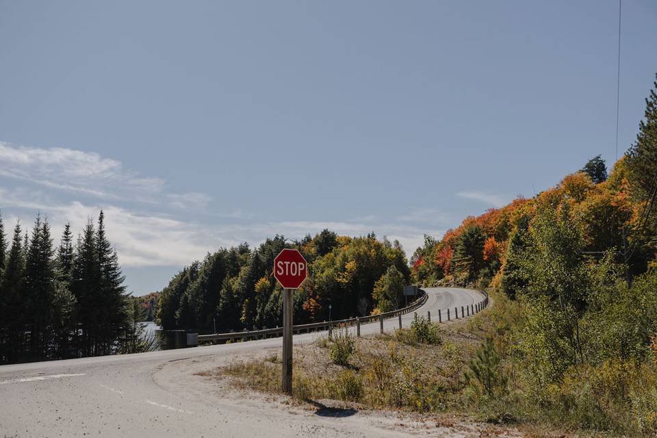 Fall colours