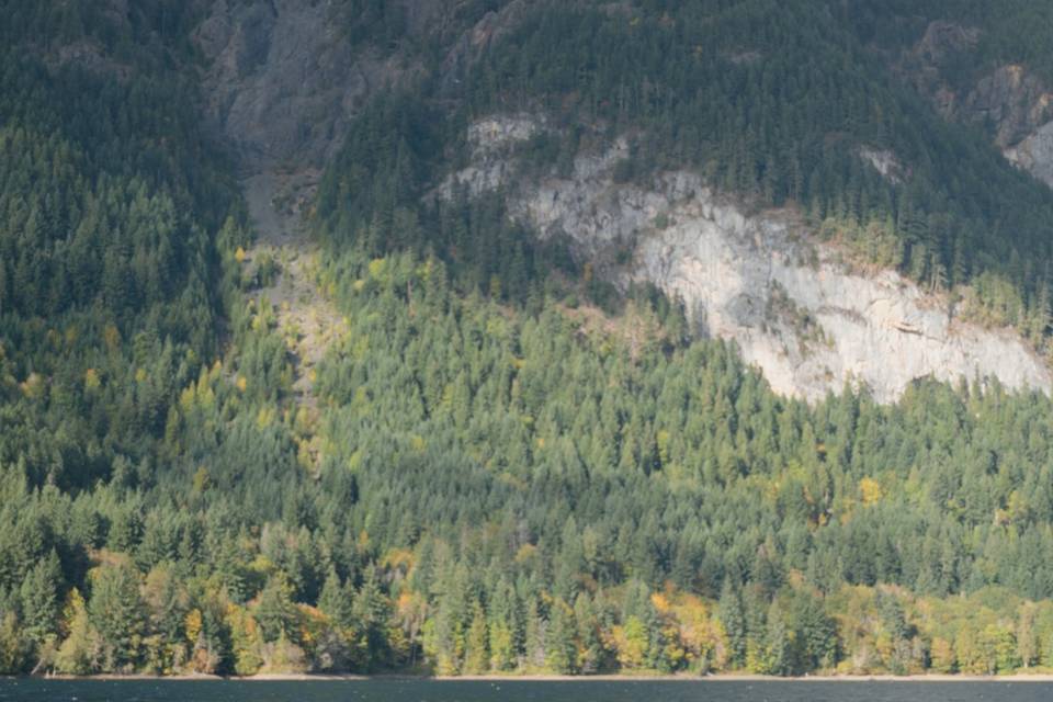 Horne Lake Elopement