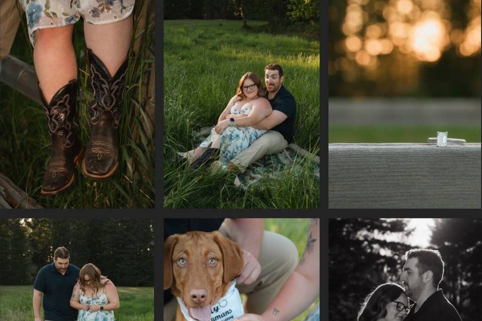 Port Alberni Engagement