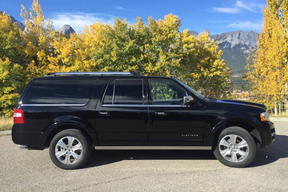 Ford Expedition Platinum