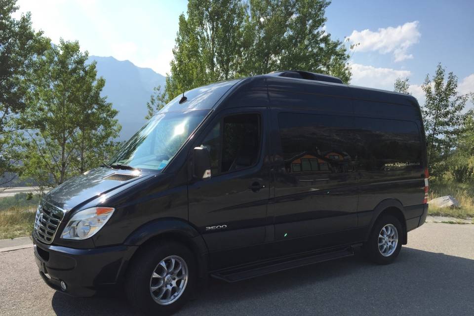 Executive Sprinter Van