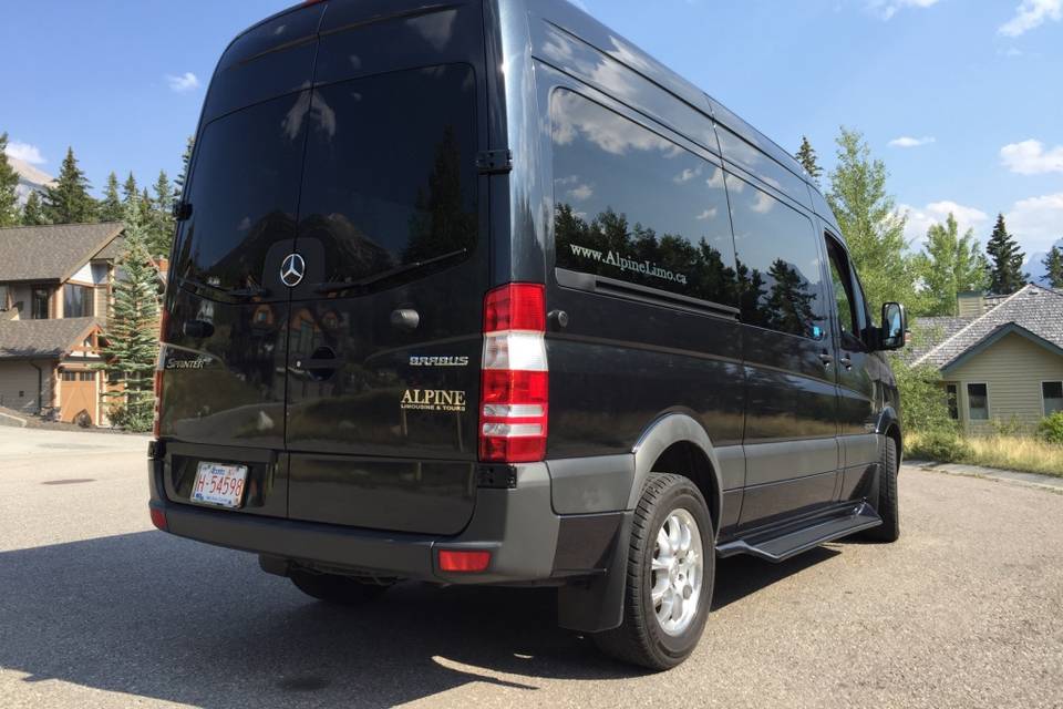 Executive Sprinter Van