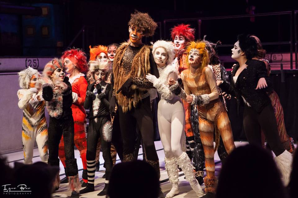 Vladislav Zolotarev- Circus Musical Show