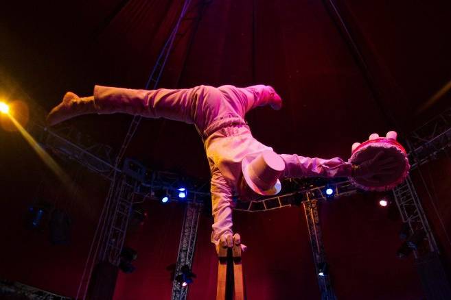 Vladislav Zolotarev- Circus Musical Show