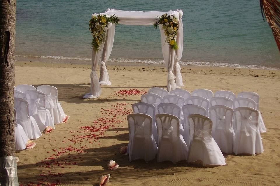 Bride by the Sea