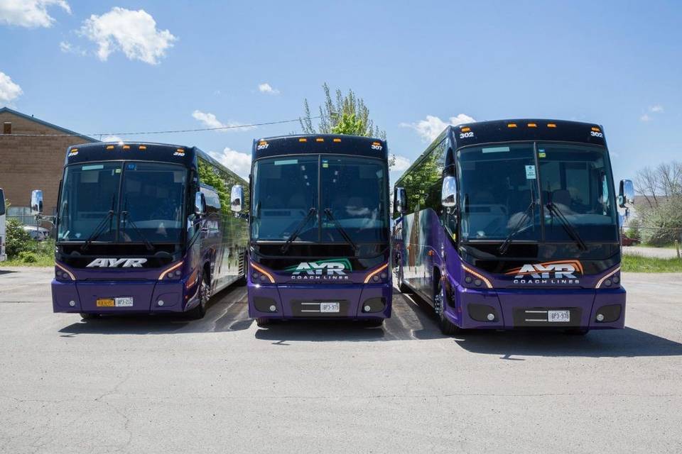 A fleet of coaches