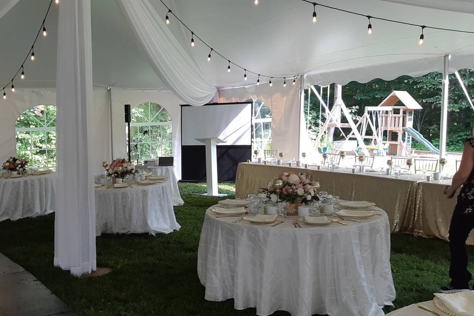 Tent Setup with P.A. & Screen