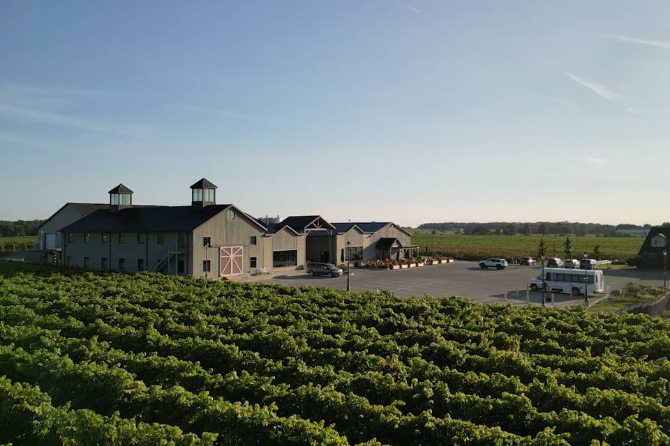 Legacy vineyard