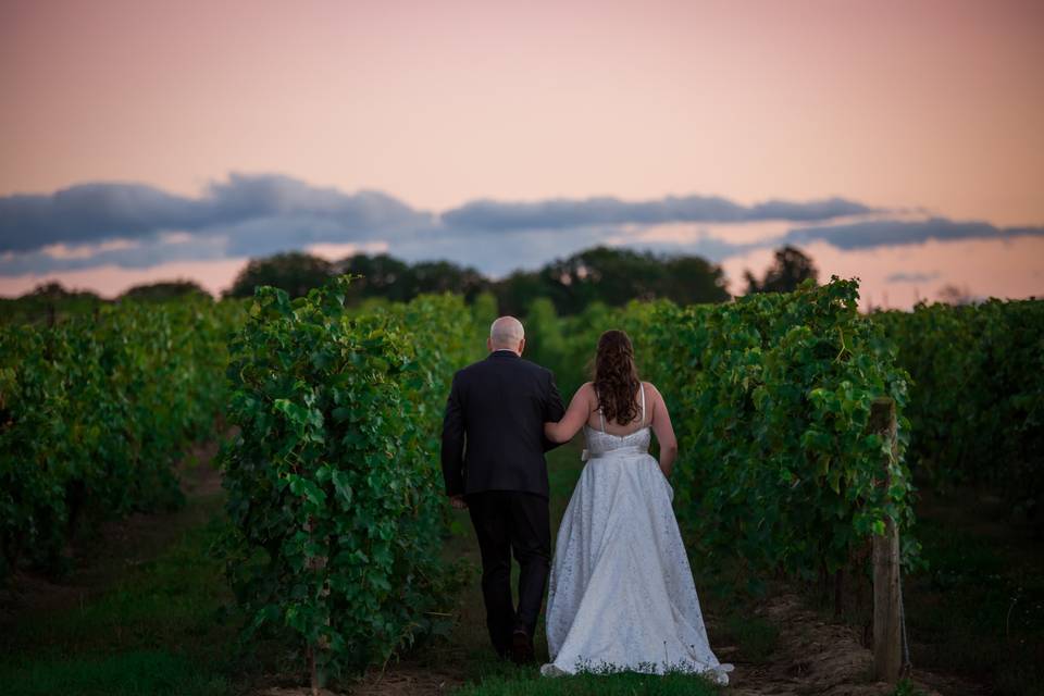 Sue Anne Staff Winery Wedding