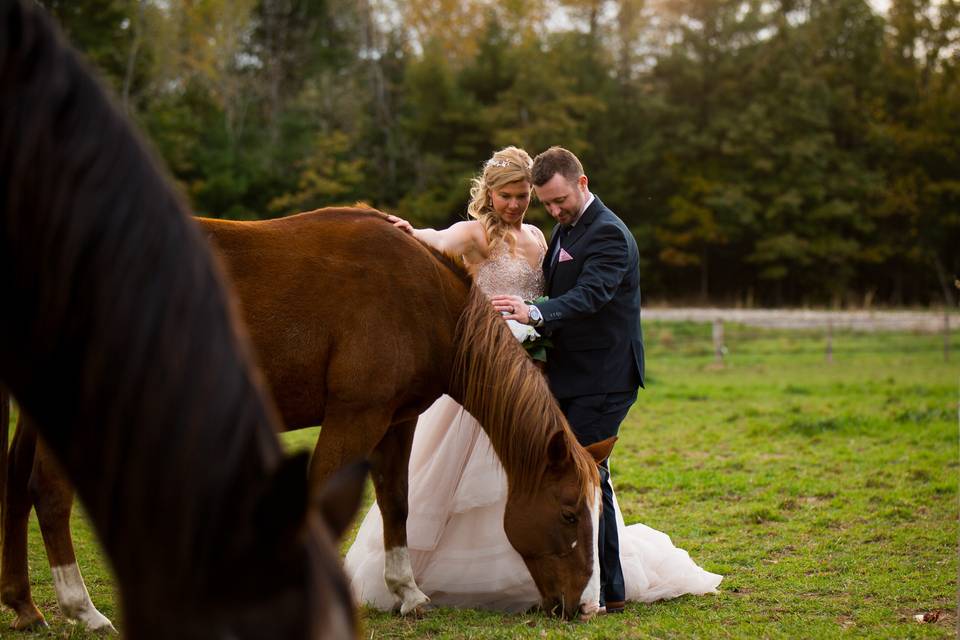 Whispering Springs Wedding