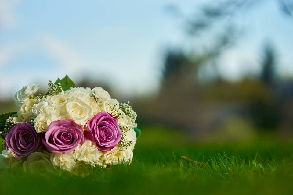 Field of flowers